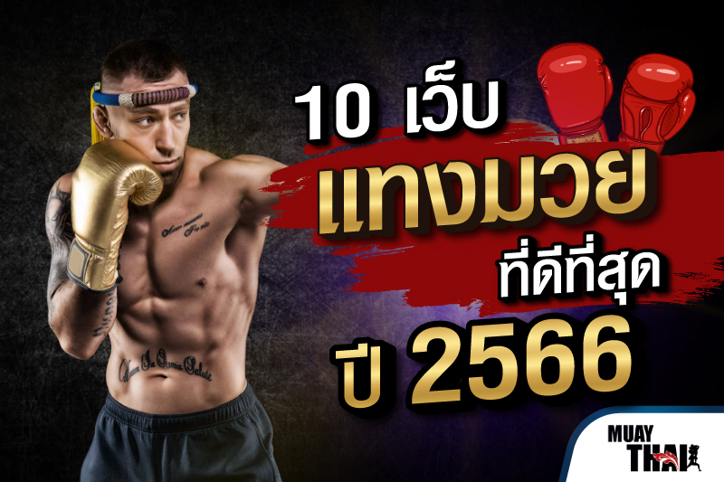 แทงกีฬามวย กติกาการแทงมวยออนไลน์บนมือถือเว็บ SBOBET